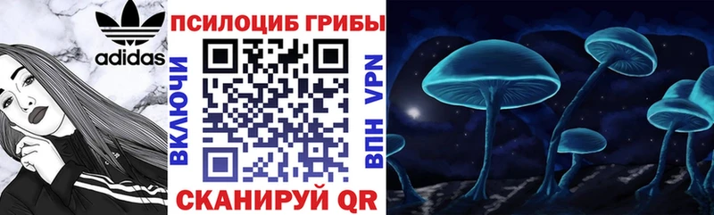 Галлюциногенные грибы Psilocybine cubensis  где найти   Луза 