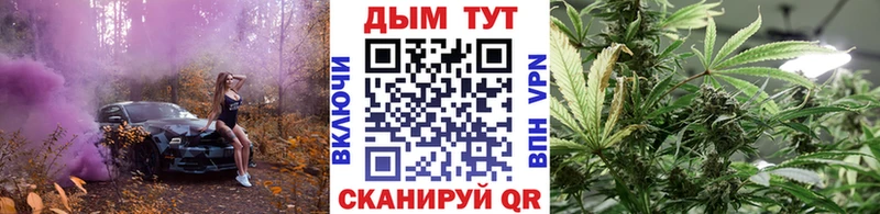 Бошки Шишки планчик  Луза 